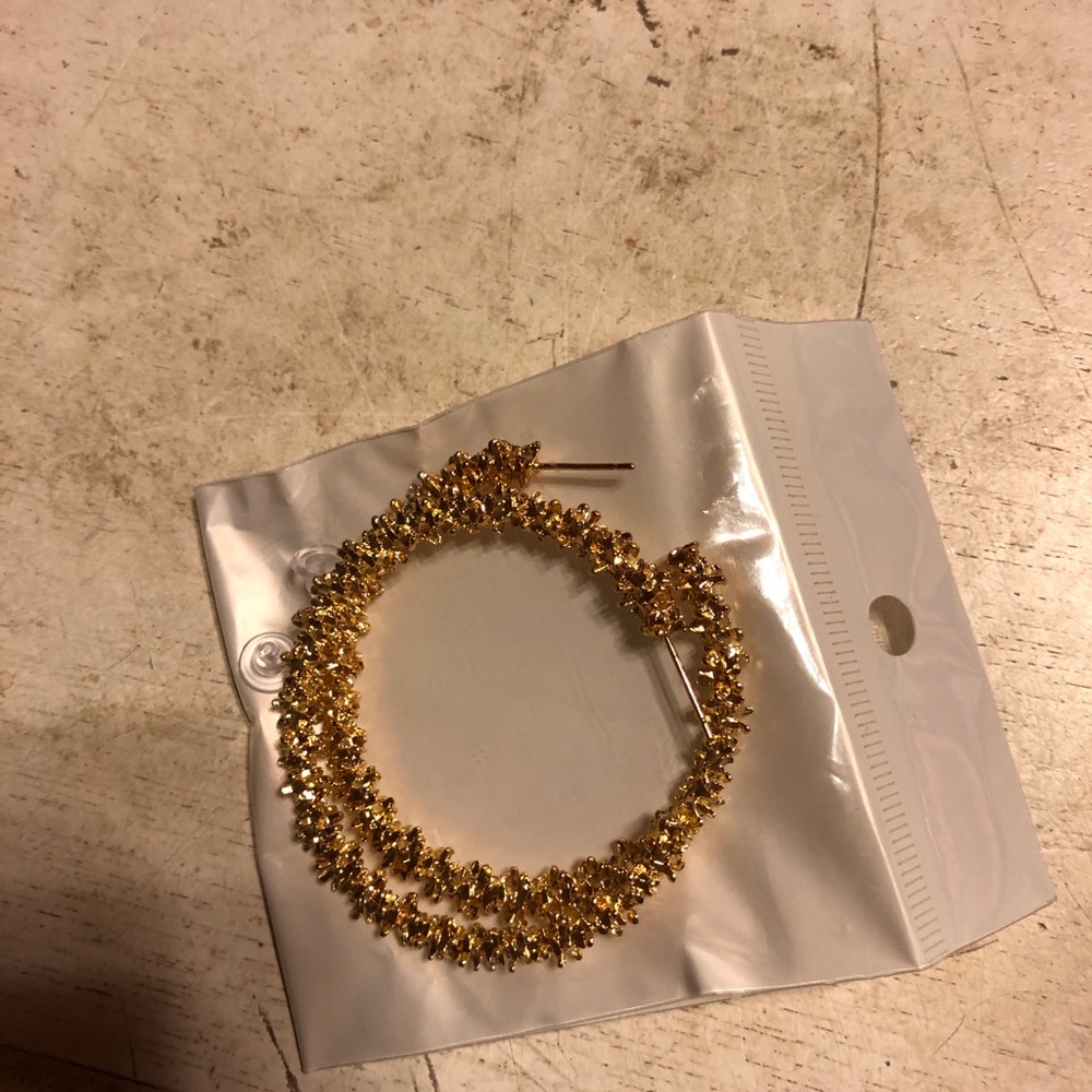 Hoops Earring - image 1